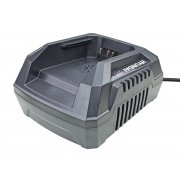 Hyundai HYCH405 40V Garden Machinery Fast Charger